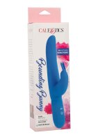 CalExotics Bounding Bunny blau